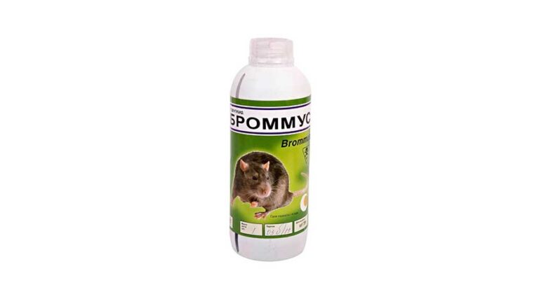 Броммус
