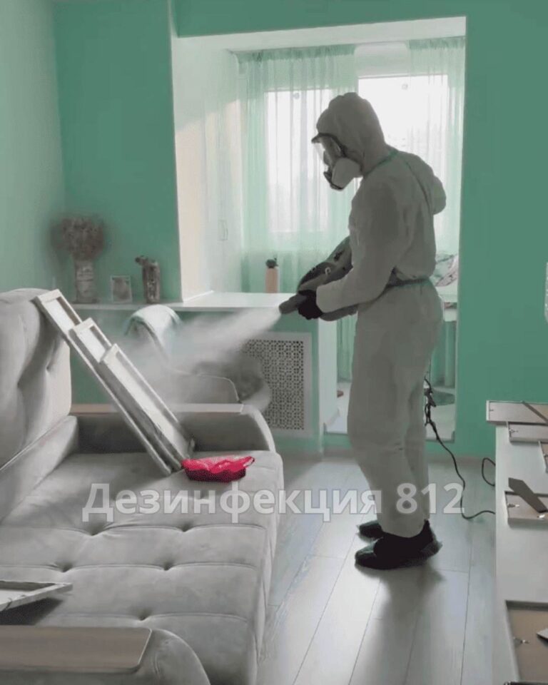 квартира
