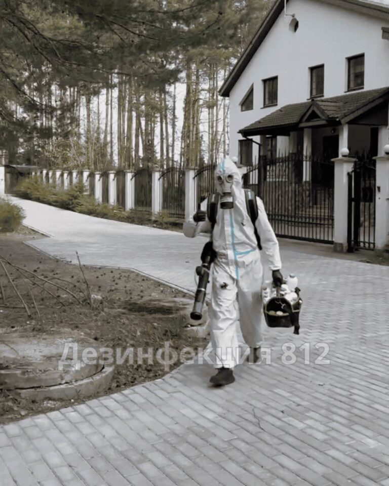 на участке