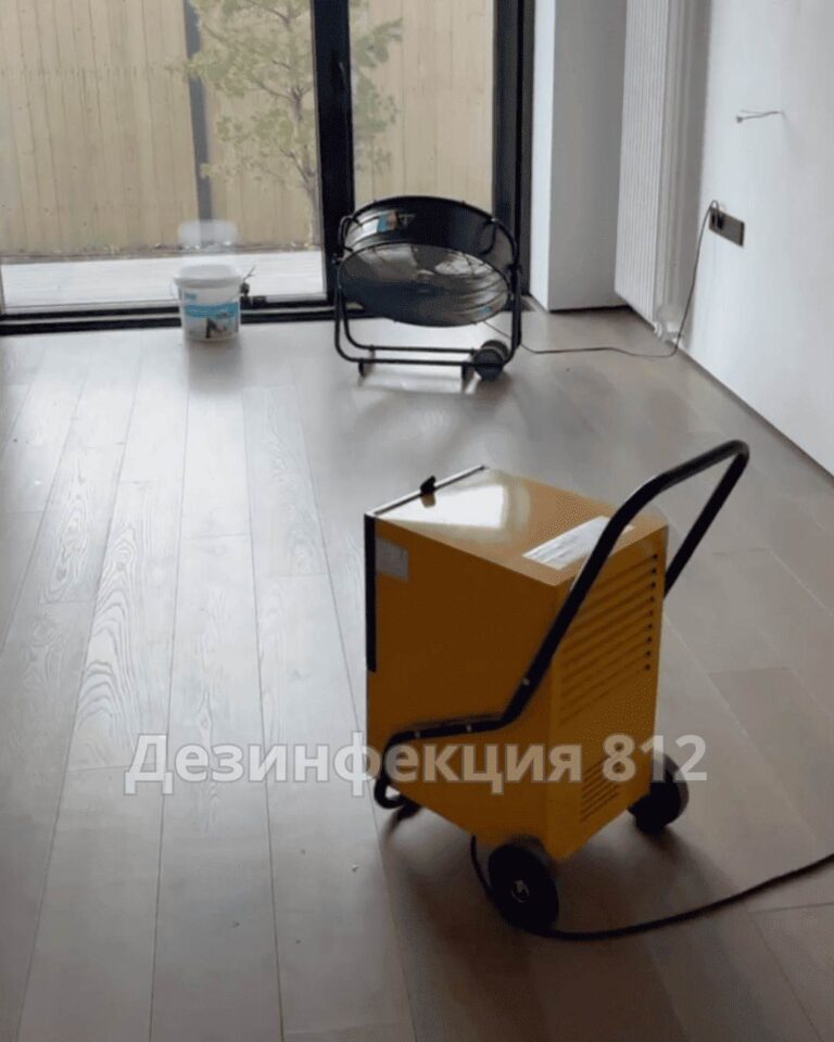дезинфекция