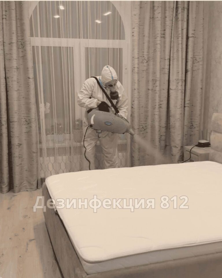 дезинсекция